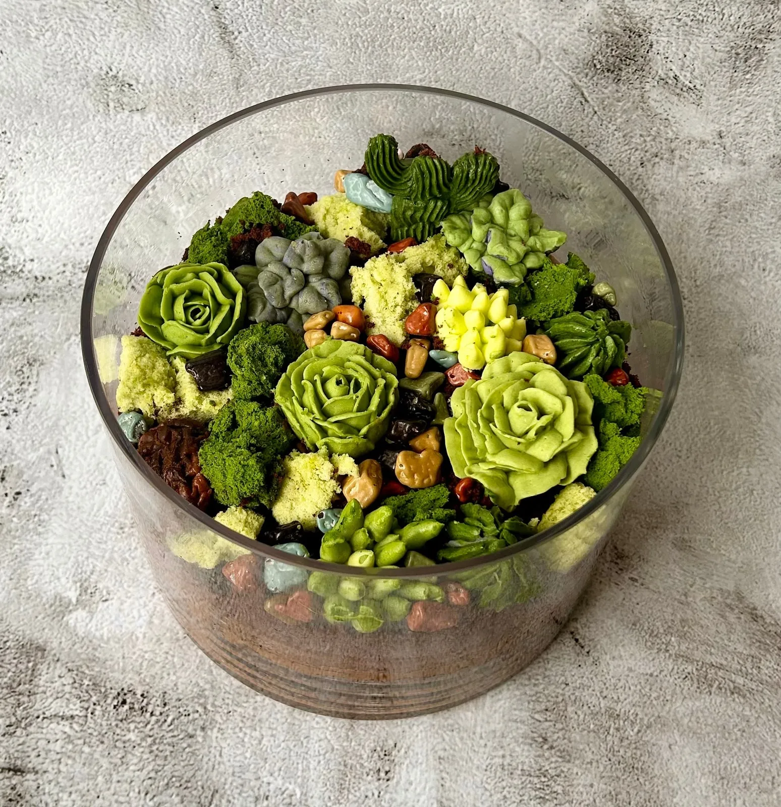 Buttercream succulent garden cake piped to look like a glass terrarium